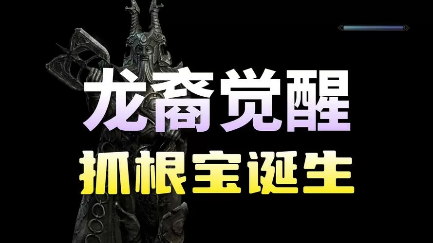 老滚5龙代码