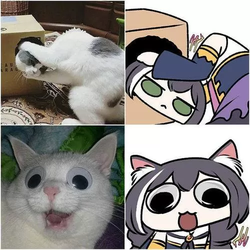 珍妮猫娘模组安装包