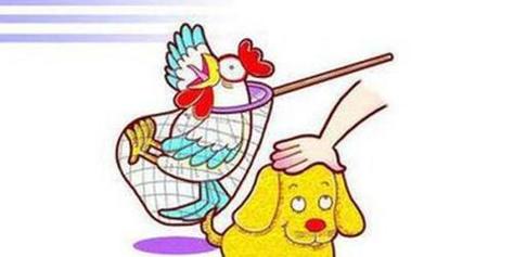 偷鸡摸狗猜一个动物