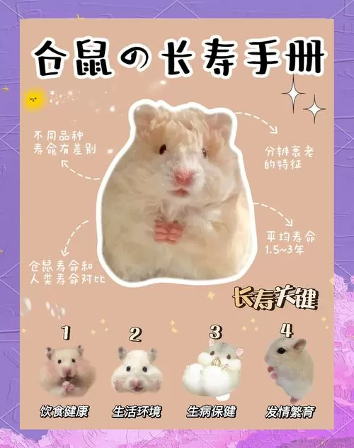 出门一个月仓鼠怎么自己生存