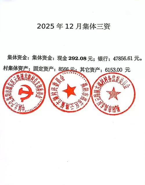 合发2024年分红最新消息