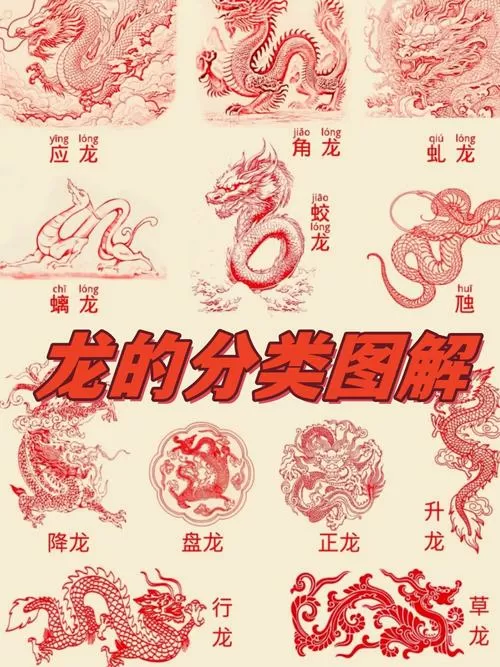 中国龙组一共几部