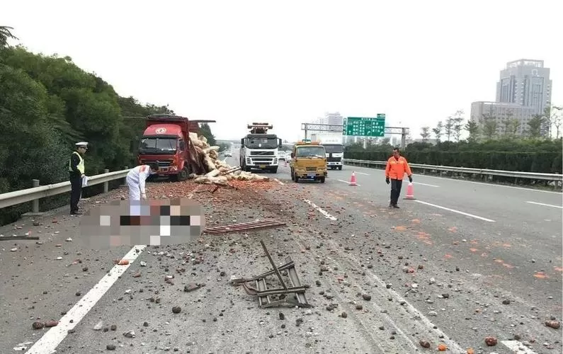 车祸过了10天去医院检查有效吗