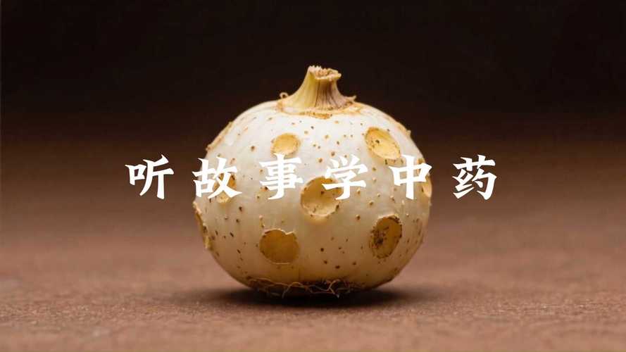 半夏的故事免费阅读