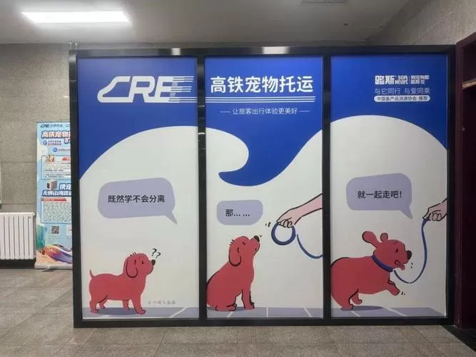 顺丰宠物托运电话24小时服务热线