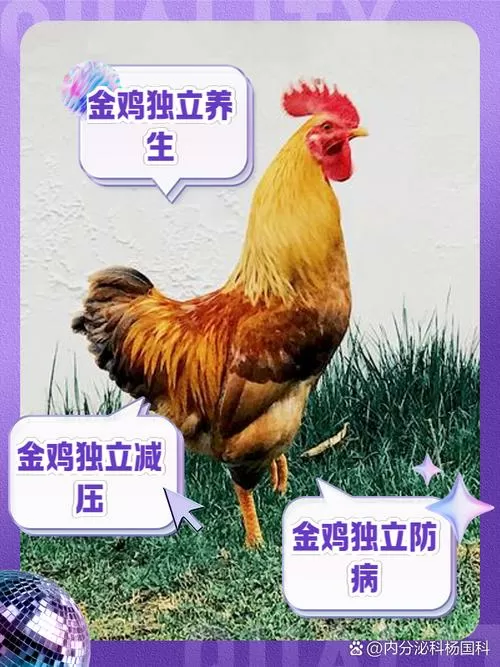 金鸡独立的神奇功效