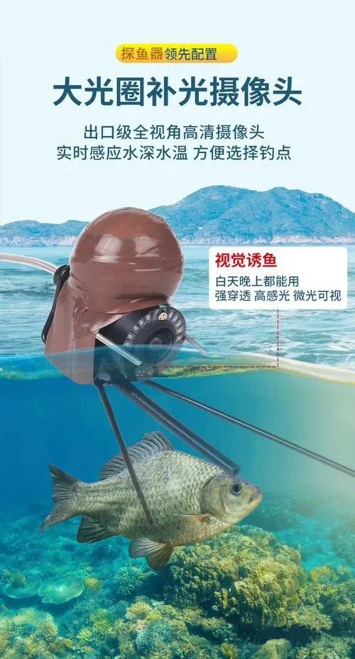 可视锚鱼正确提竿