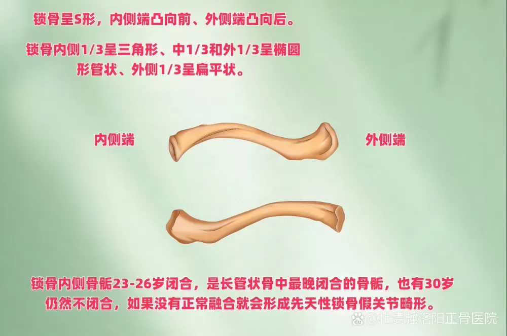 人的锁骨断了,严重吗