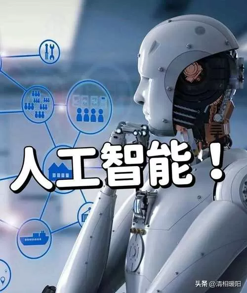 宇文拓实力排第几