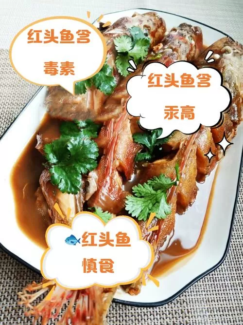 红头鱼为何尽量少吃