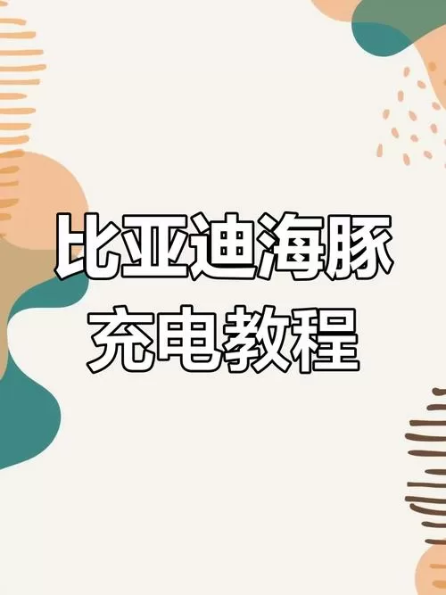 海豚无线充电怎么开