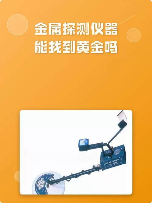 金属探测仪能找到黄金吗