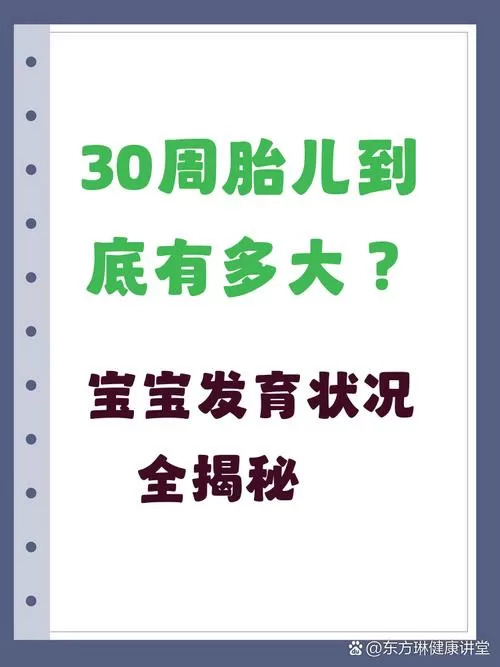 三十周正常胎儿多少斤