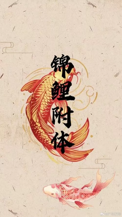 运气交给锦鲤,你只管努力就行