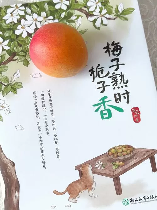 梅子熟时栀子香
