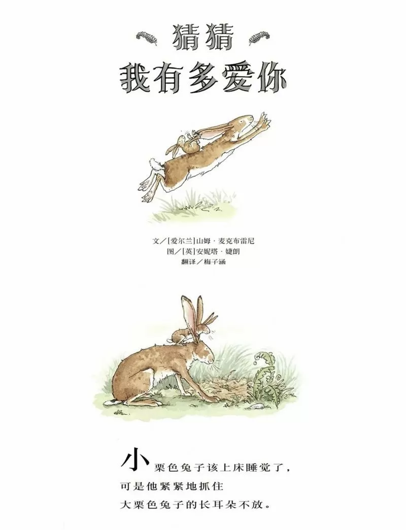 猜猜有多爱你故事