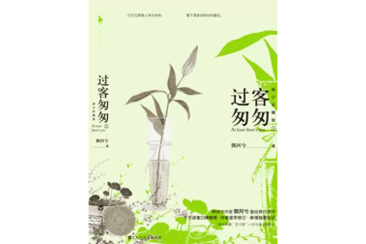 过客匆匆飘阿兮