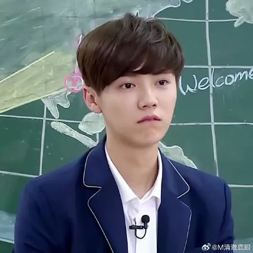 董子健和鹿晗是哪个高中