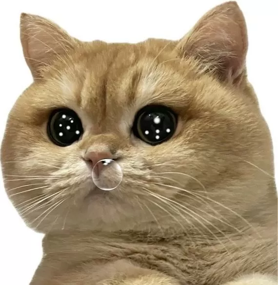 猫咪鼻子流鼻涕嘴巴流口水图标