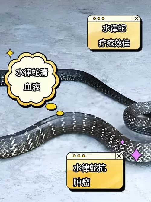 蟒蛇有抗毒免疫力吗