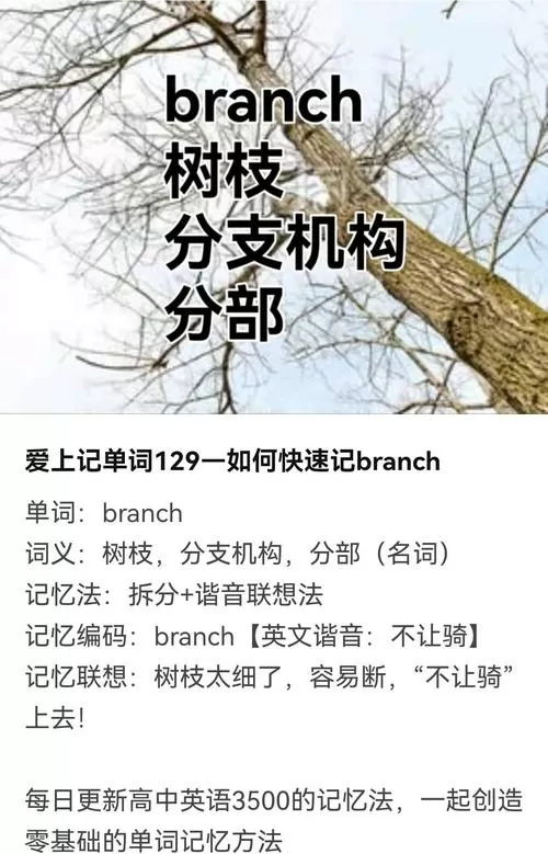 用branch造句