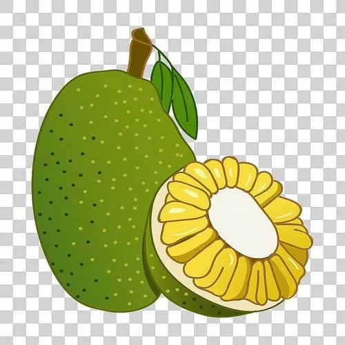 怎么下载菠萝蜜
