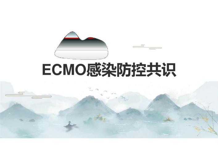 ecmo报警处理ppt