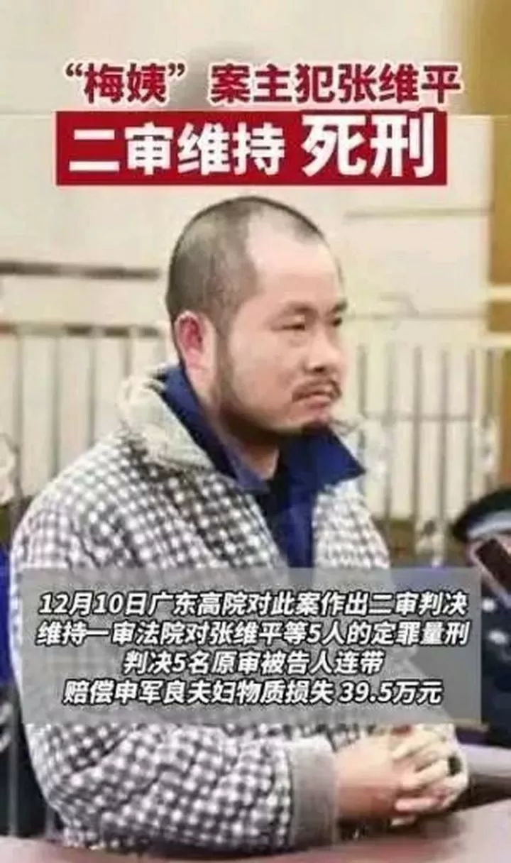 供出梅姨的张维平已执行死刑图标