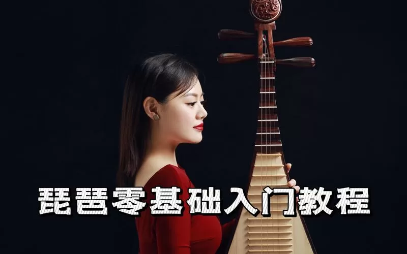 琵琶教学视频缩略图