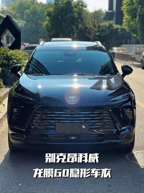 昂科威有必要贴车衣吗