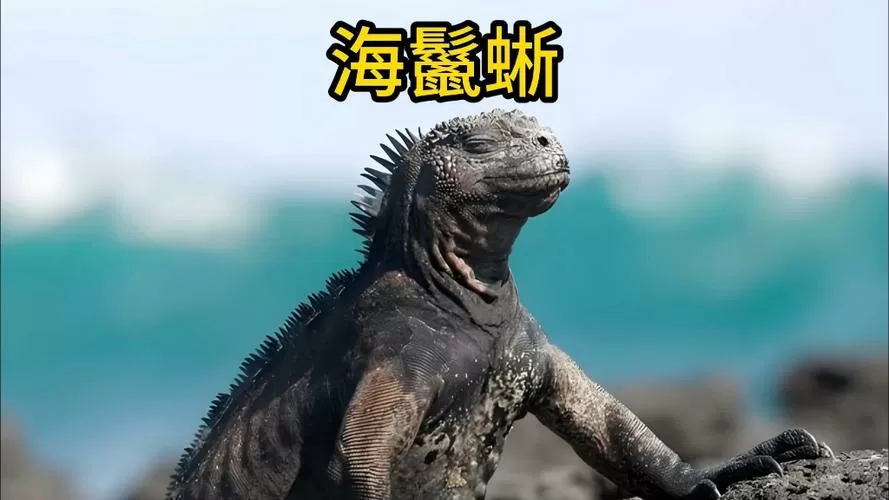 哥斯拉的原型是什么动物