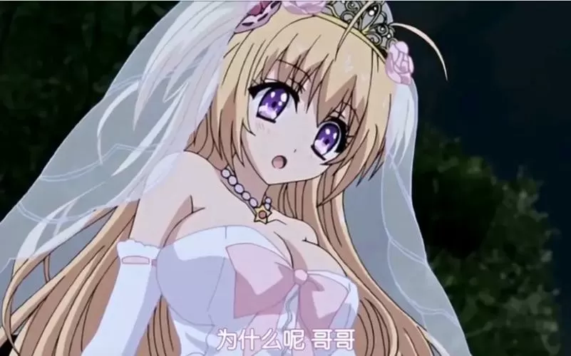 关于能让笨蛋妹妹变聪明的方法无修