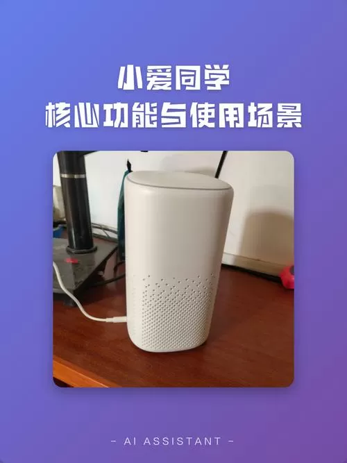 华为手机有小爱同学功能吗